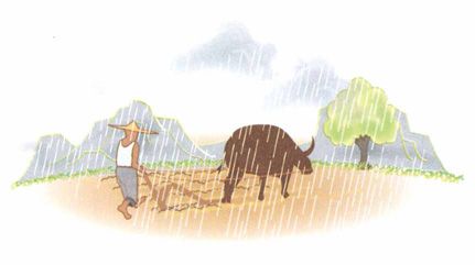 雨水——谨防寒湿，养肝莫忘调脾胃