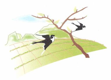 惊蛰——排毒祛邪,警惕肝病的侵扰