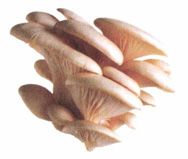 惊蛰——排毒祛邪,警惕肝病的侵扰