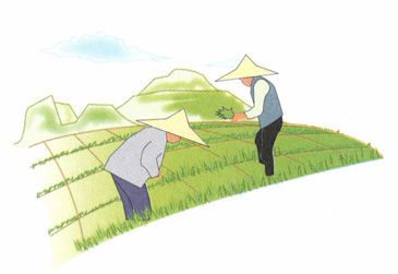 春分——天门开户，顺势养阳正当时