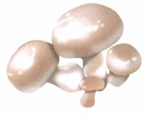 清明——踏青越野，与自然同气相求