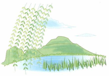 立夏——养护心脏，多饮汤水防心火