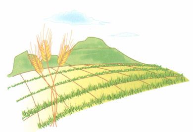 小满——未病先防，清热除湿正当时