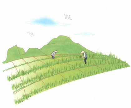 芒种——天气炎热,清淡饮食是关键