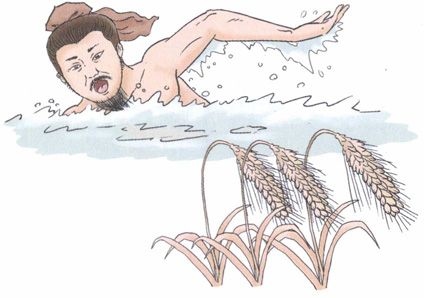 芒种——天气炎热,清淡饮食是关键