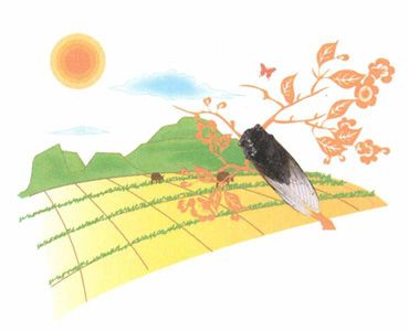 夏至——调养身心，睡好午觉精神足