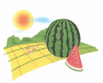 大暑——谨防湿热，三伏天远离中暑