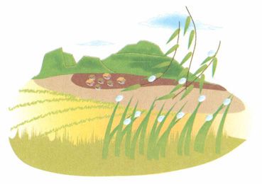 白露——养阴为先,早晚穿暖勿露身