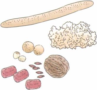 白露——养阴为先,早晚穿暖勿露身