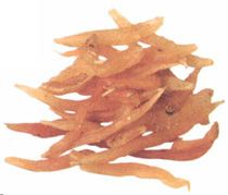 白露——养阴为先,早晚穿暖勿露身