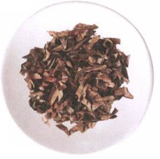 白露——养阴为先,早晚穿暖勿露身