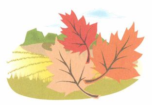 秋分——地门闭合，补益肺气最重要