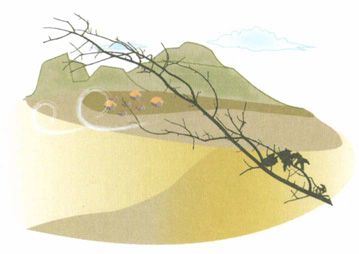 寒露——天凉露重,防寒清咽避燥邪