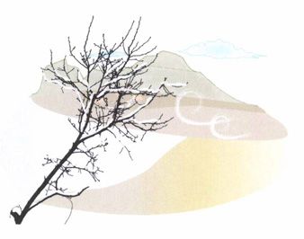 霜降——寒邪来犯，避寒要防寒包火