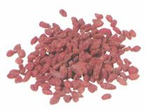 立冬——冬天养藏，藏阳气尤贵养肾气