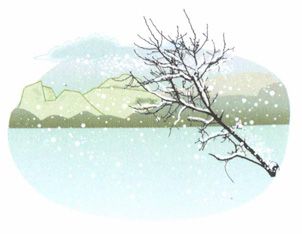 小雪——防寒健肾,还要清肠排毒素