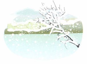 大雪——温补避寒，驱寒保暖有讲究