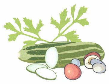 冬至——阳气初生,补肾填精不要省