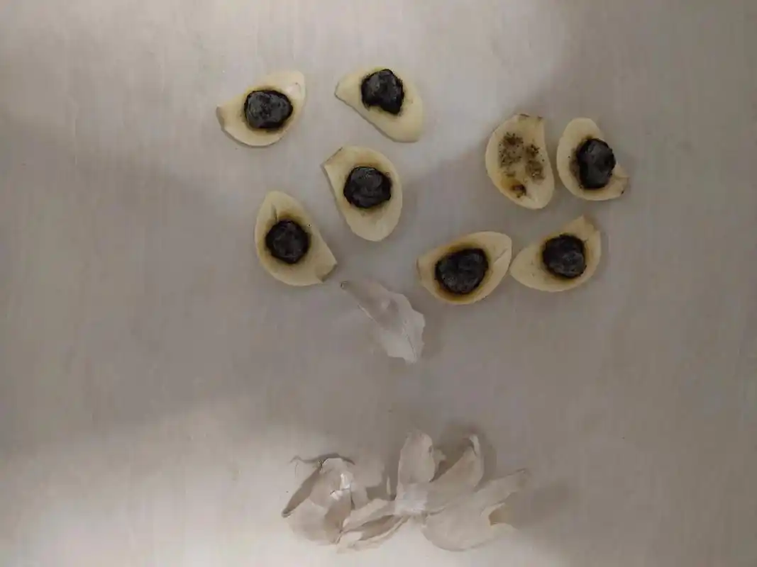 天淳堂9号陈艾条