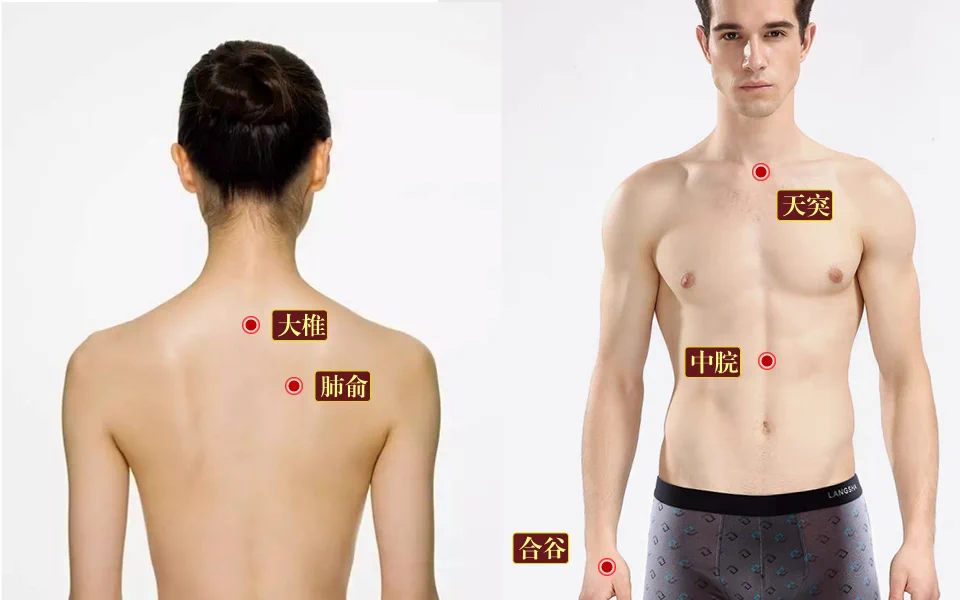强壮肺脏及防治呼吸系统疾病的穴位敷贴疗法