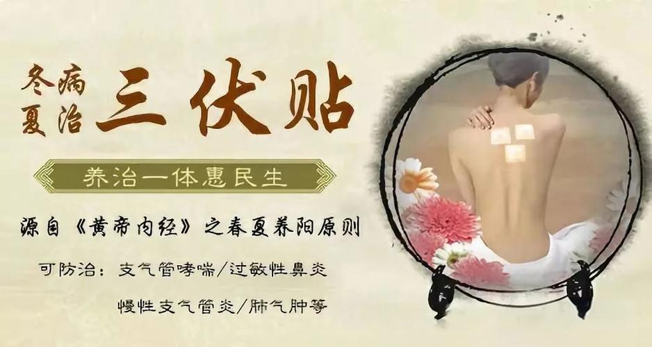 三伏贴使用方法