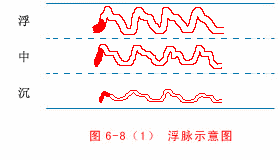 入门脉诊知识详细图解!附高清把脉动图