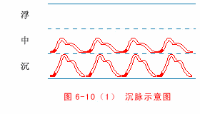 入门脉诊知识详细图解!附高清把脉动图