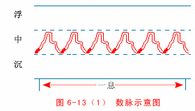 入门脉诊知识详细图解!附高清把脉动图