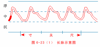 入门脉诊知识详细图解!附高清把脉动图