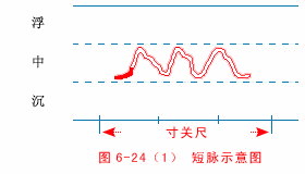 入门脉诊知识详细图解!附高清把脉动图