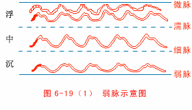 入门脉诊知识详细图解!附高清把脉动图