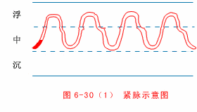 入门脉诊知识详细图解!附高清把脉动图