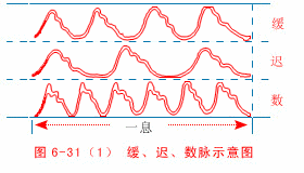 入门脉诊知识详细图解!附高清把脉动图