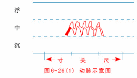入门脉诊知识详细图解!附高清把脉动图