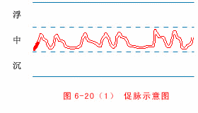 入门脉诊知识详细图解!附高清把脉动图