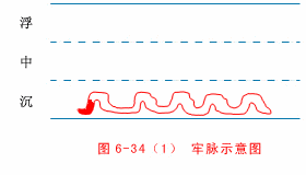 入门脉诊知识详细图解!附高清把脉动图