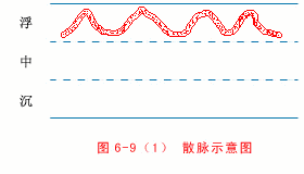 入门脉诊知识详细图解!附高清把脉动图