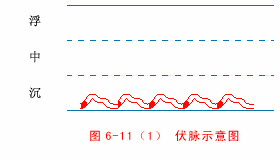 入门脉诊知识详细图解!附高清把脉动图
