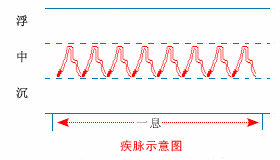 入门脉诊知识详细图解!附高清把脉动图