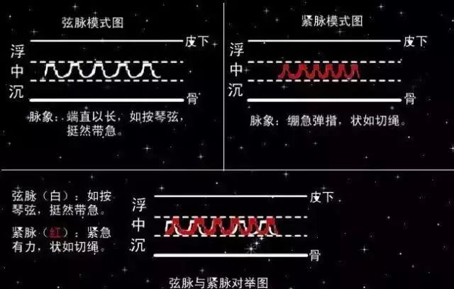 入门脉诊知识详细图解!附高清把脉动图