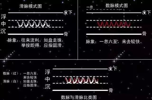 入门脉诊知识详细图解!附高清把脉动图