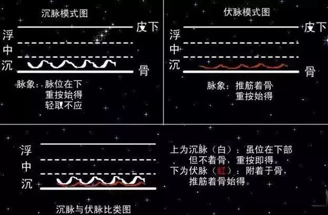 入门脉诊知识详细图解!附高清把脉动图