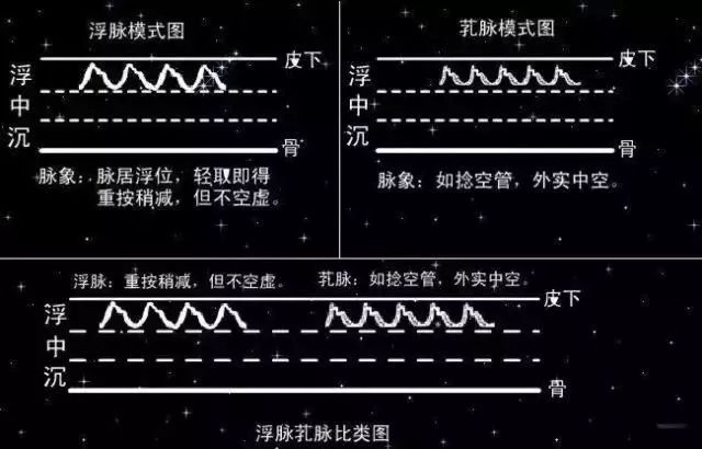 入门脉诊知识详细图解!附高清把脉动图