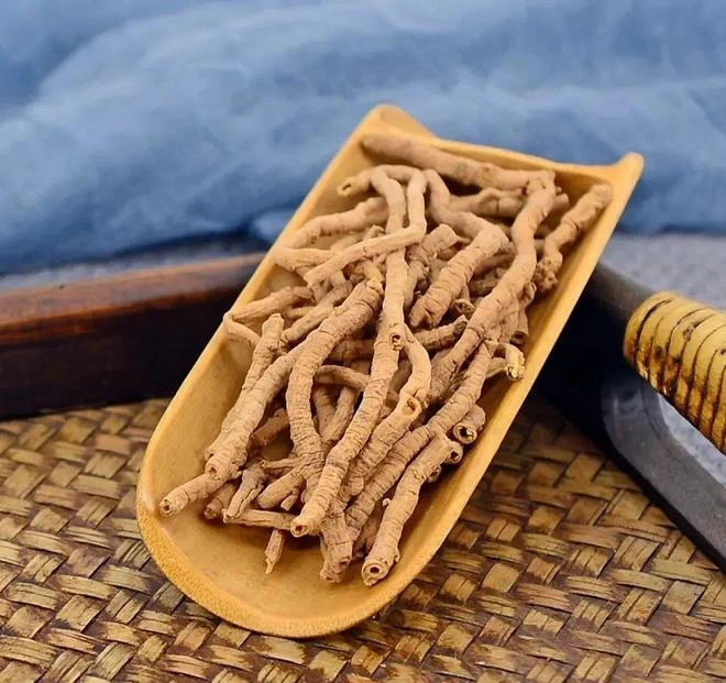 远志安神贴：古方调理，从肚脐开启深度睡眠