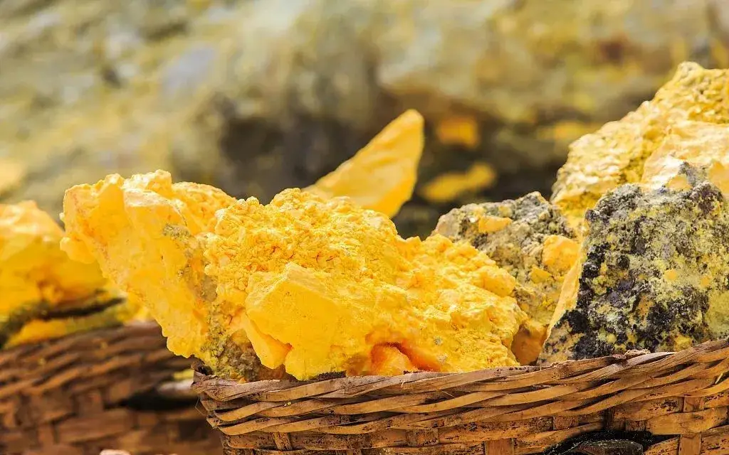 远志安神贴：古方调理，从肚脐开启深度睡眠