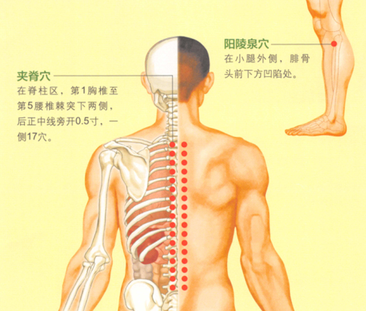 强直性脊柱炎的艾灸疗法