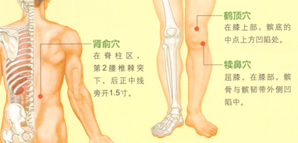 膝关节痛的艾灸疗法