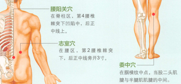 腰肌劳损的艾灸疗法