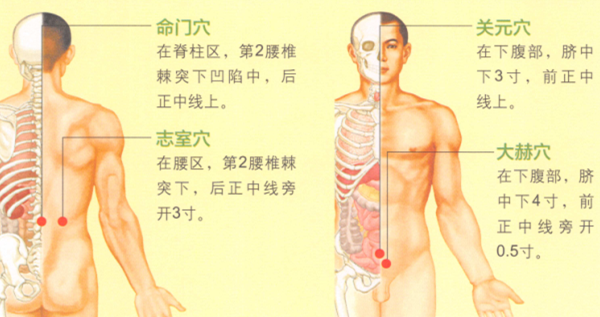 益肾温阳艾灸调理方的艾灸疗法