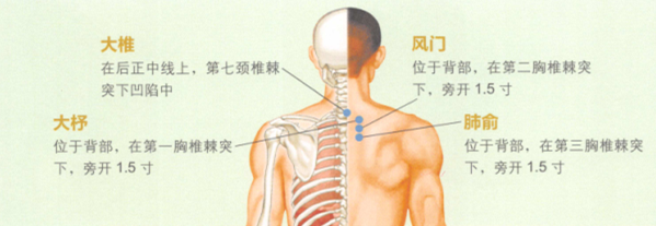 慢性支气管炎的艾灸疗法